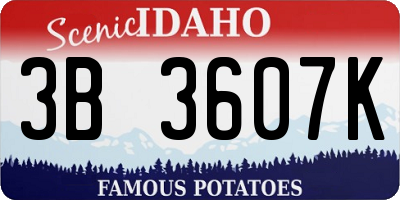 ID license plate 3B3607K