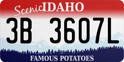 ID license plate 3B3607L