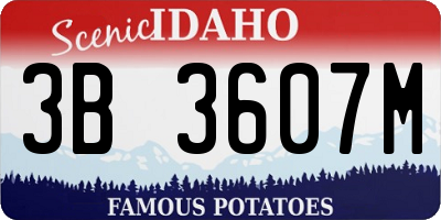 ID license plate 3B3607M