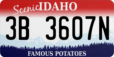 ID license plate 3B3607N