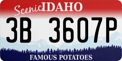ID license plate 3B3607P