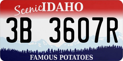 ID license plate 3B3607R