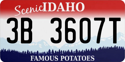 ID license plate 3B3607T