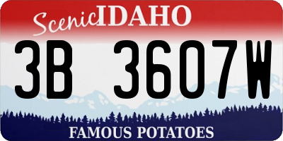 ID license plate 3B3607W
