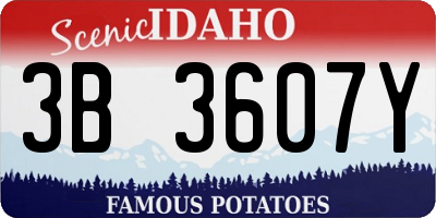 ID license plate 3B3607Y