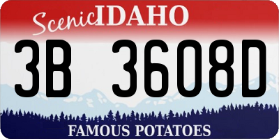 ID license plate 3B3608D