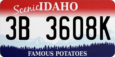 ID license plate 3B3608K