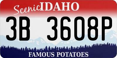 ID license plate 3B3608P