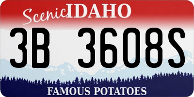 ID license plate 3B3608S