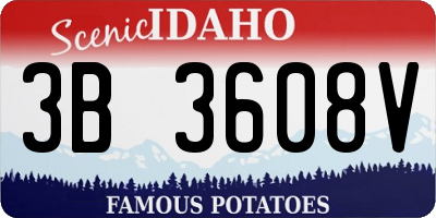 ID license plate 3B3608V