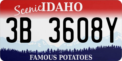 ID license plate 3B3608Y