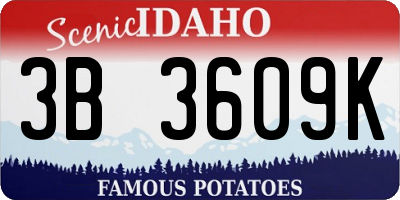 ID license plate 3B3609K