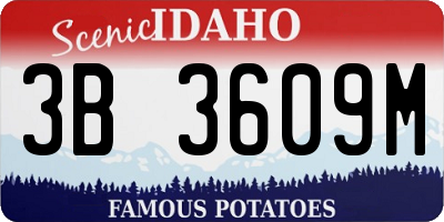 ID license plate 3B3609M