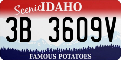 ID license plate 3B3609V