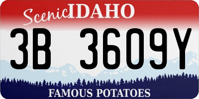 ID license plate 3B3609Y