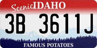ID license plate 3B3611J