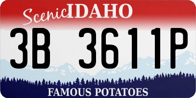 ID license plate 3B3611P