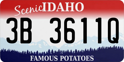 ID license plate 3B3611Q