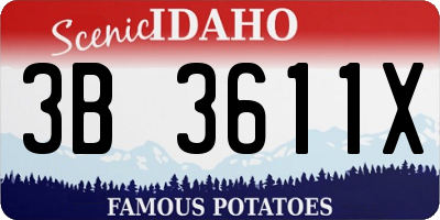 ID license plate 3B3611X
