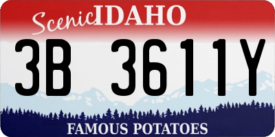 ID license plate 3B3611Y