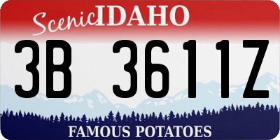 ID license plate 3B3611Z