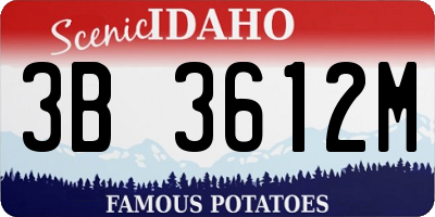 ID license plate 3B3612M