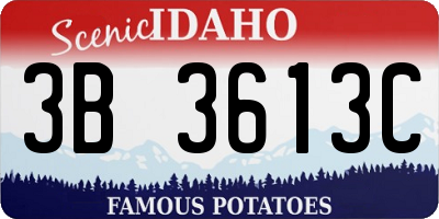 ID license plate 3B3613C