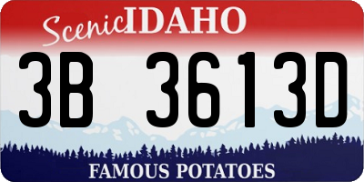 ID license plate 3B3613D