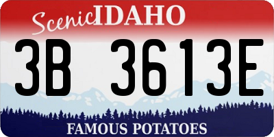ID license plate 3B3613E