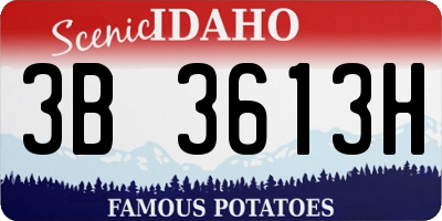 ID license plate 3B3613H