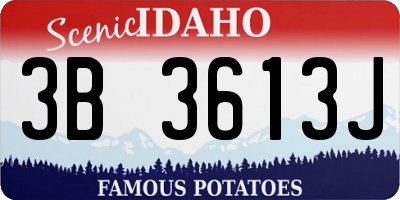 ID license plate 3B3613J