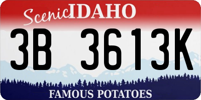 ID license plate 3B3613K