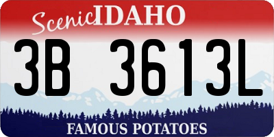 ID license plate 3B3613L