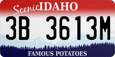ID license plate 3B3613M