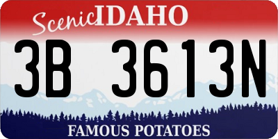 ID license plate 3B3613N