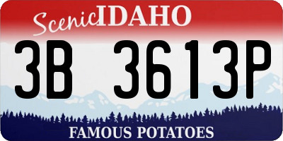 ID license plate 3B3613P