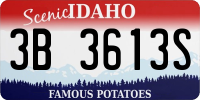 ID license plate 3B3613S