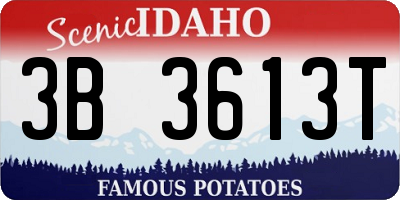 ID license plate 3B3613T
