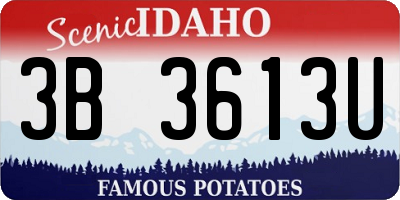 ID license plate 3B3613U