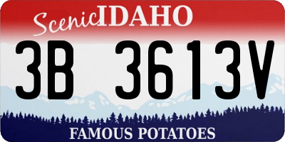 ID license plate 3B3613V