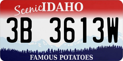 ID license plate 3B3613W