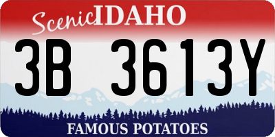 ID license plate 3B3613Y