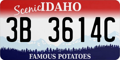 ID license plate 3B3614C