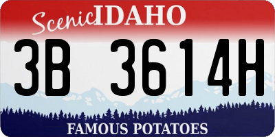 ID license plate 3B3614H
