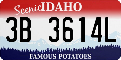 ID license plate 3B3614L