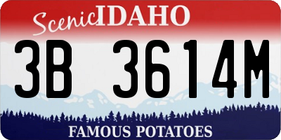 ID license plate 3B3614M