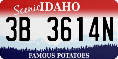 ID license plate 3B3614N
