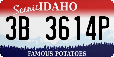ID license plate 3B3614P