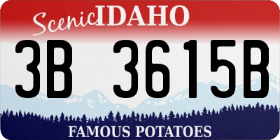 ID license plate 3B3615B