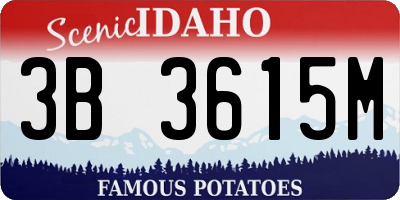 ID license plate 3B3615M